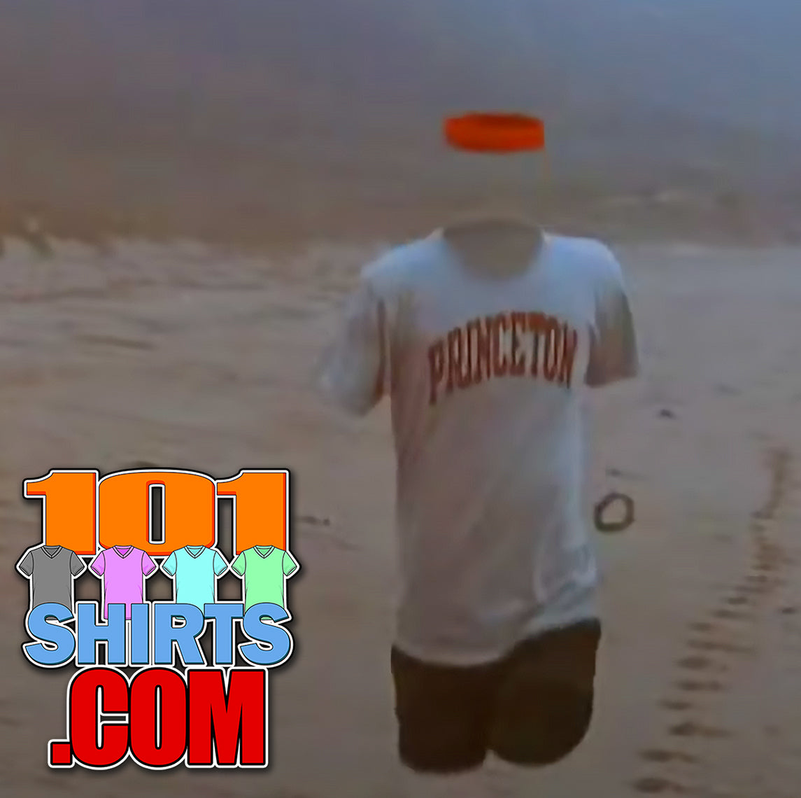 Memoirs of an Invisible Man Movie Princeton Tee Chavy Chase 90s Vintage Retro Funny T-Shirt
