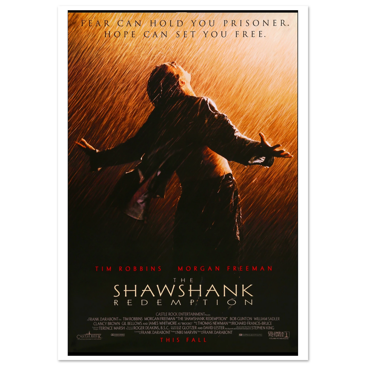 The Shawshank Redemption Movie Poster A1 (59.4 x 84.1 cm)