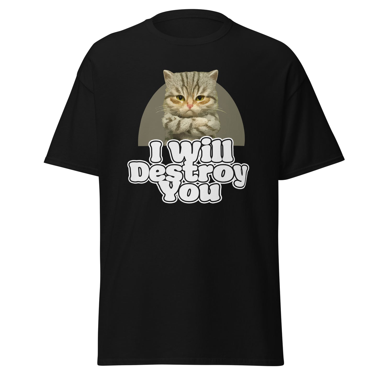 i will destroy you Funny Cat Fan Lover Animal Grumpy and Sarcastic Saying T-Shirt