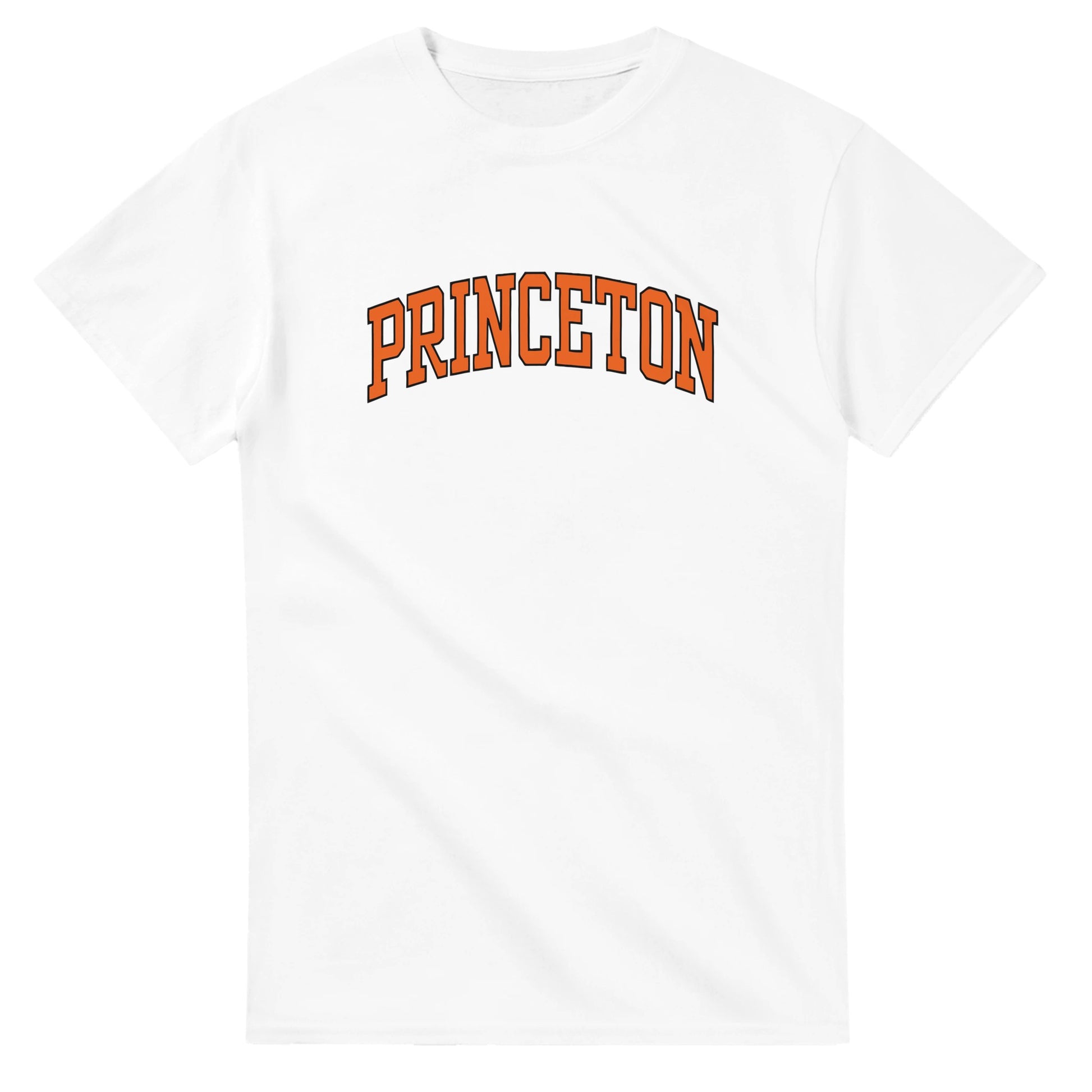 Memoirs of an Invisible Man Movie Princeton Tee Chavy Chase 90s Vintage Retro Funny T-Shirt