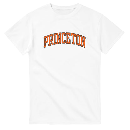 Memoirs of an Invisible Man Movie Princeton Tee Chavy Chase 90s Vintage Retro Funny T-Shirt